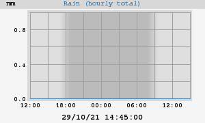 rain